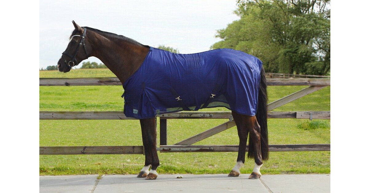 Chemise D'été Pour Cheval QHP Basic - En Polyester, Avec Sangles Croisées Et Cordons De Jambe